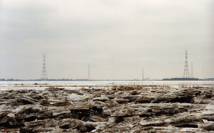 Elbufer in Winter