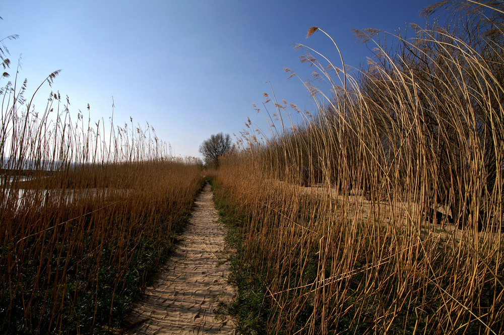 Elbwanderweg