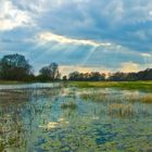 Elbwiese bei Jasebeck