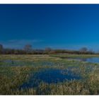 Elbwiese bei Lauenburg