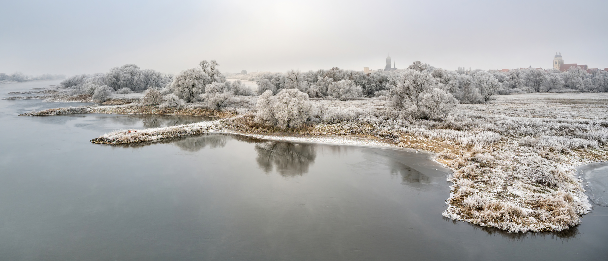 Elbwiese Morgenstunde Lutherstadt Wittenberg