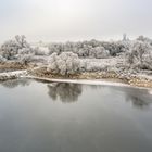 Elbwiese Morgenstunde Lutherstadt Wittenberg