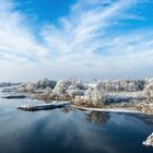 Elbwiese Winter Lutherstadt Wittenberg