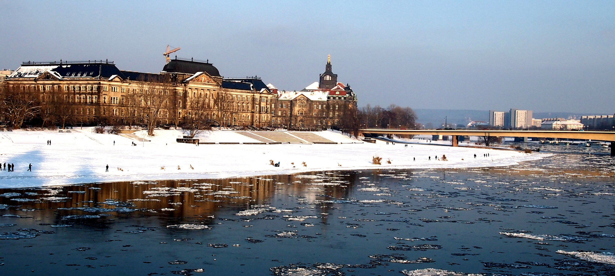 Elbwiesen Dresden im Winter