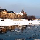 Elbwiesen Dresden im Winter