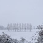 Elbwiesen im Winter