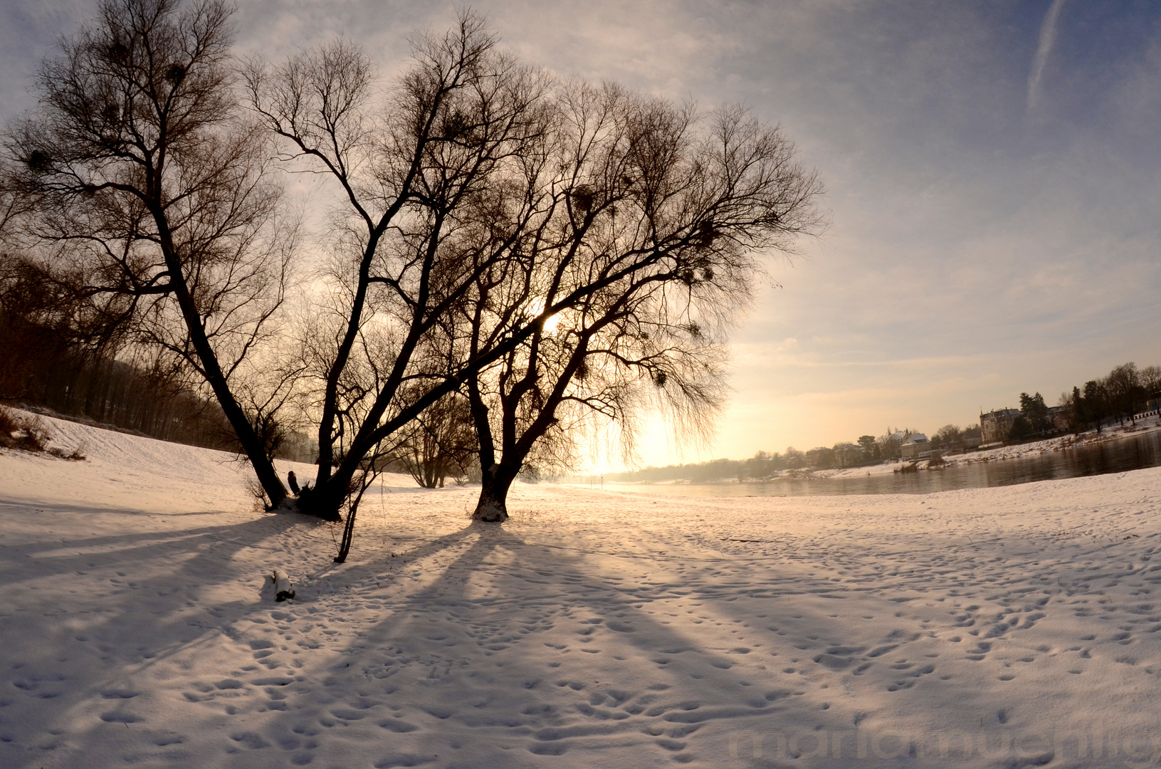 Elbwiesen nahe Blaues Wunder im Winter