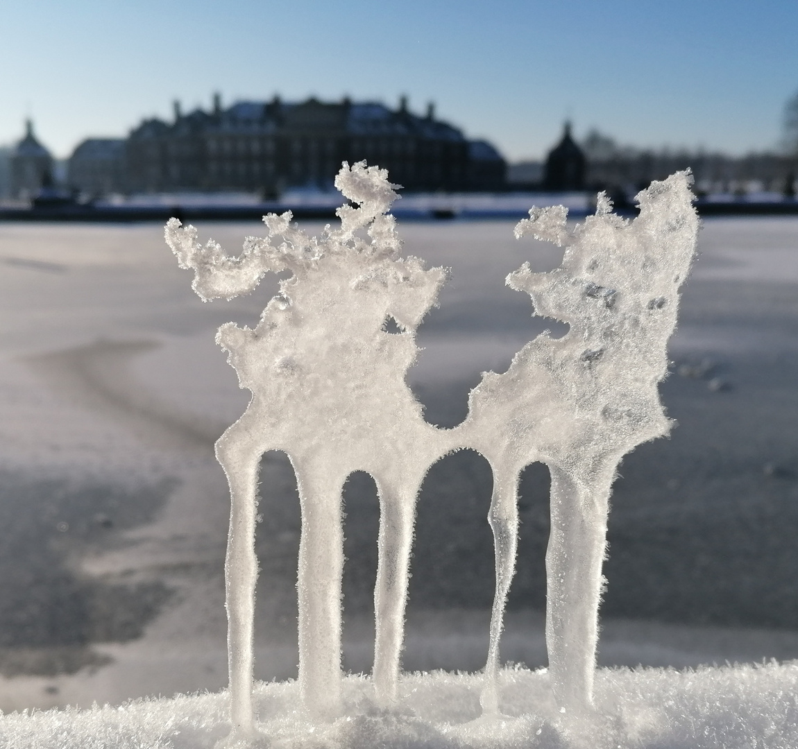 Elch und Reh aus Eis am Schloß Nordkirchen NRW im Winter