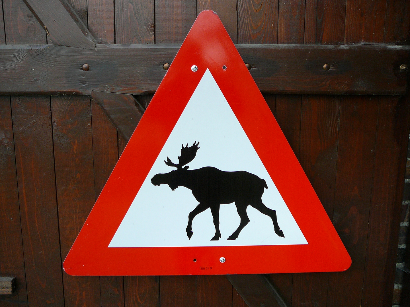 Elch-Warnschild aus Norwegen