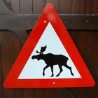 Elch-Warnschild aus Norwegen