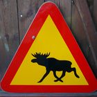 Elch-Warnschild aus Schweden