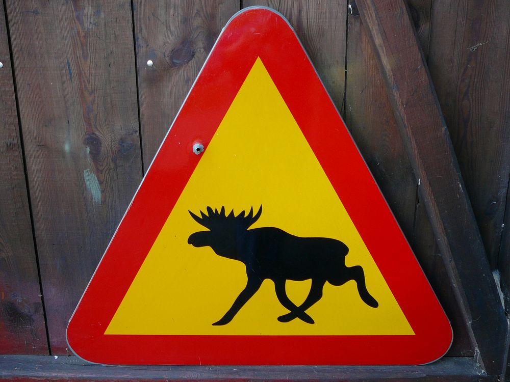 Elch-Warnschild aus Schweden