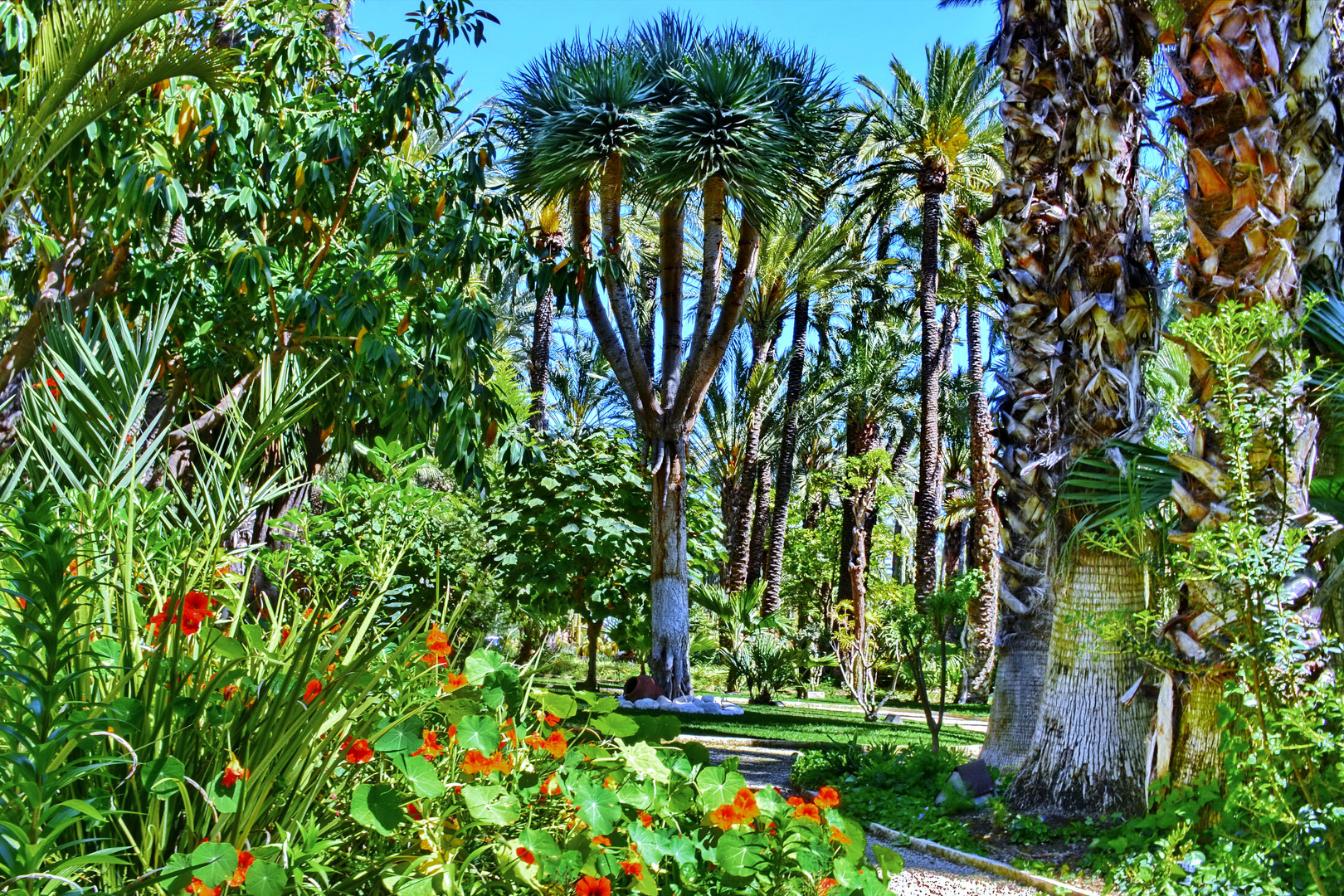 Elche, Pfarrers Garten