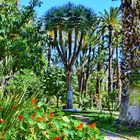 Elche, Pfarrers Garten