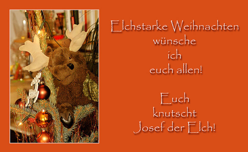 Elchstarke Weihnachten