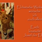 Elchstarke Weihnachten