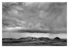 Eldhraun Trees 1 | Iceland