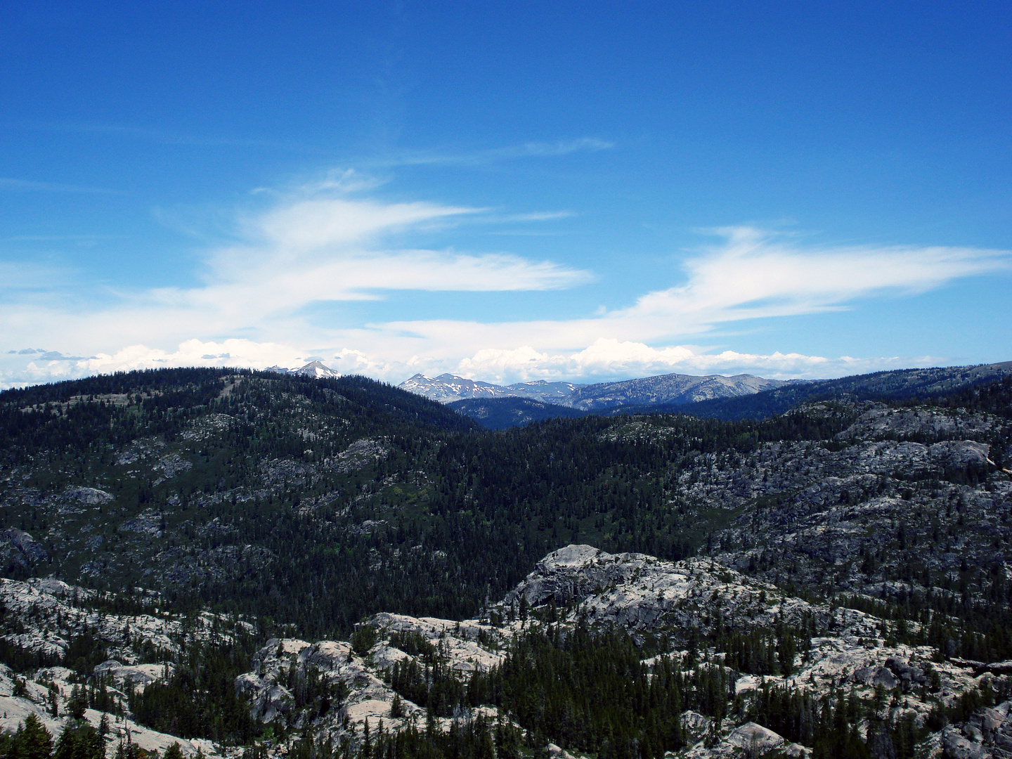 Eldorado National Forest II