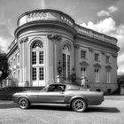 Eleanor - Ford Mustang Shelby GT500