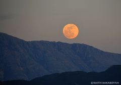 election moon