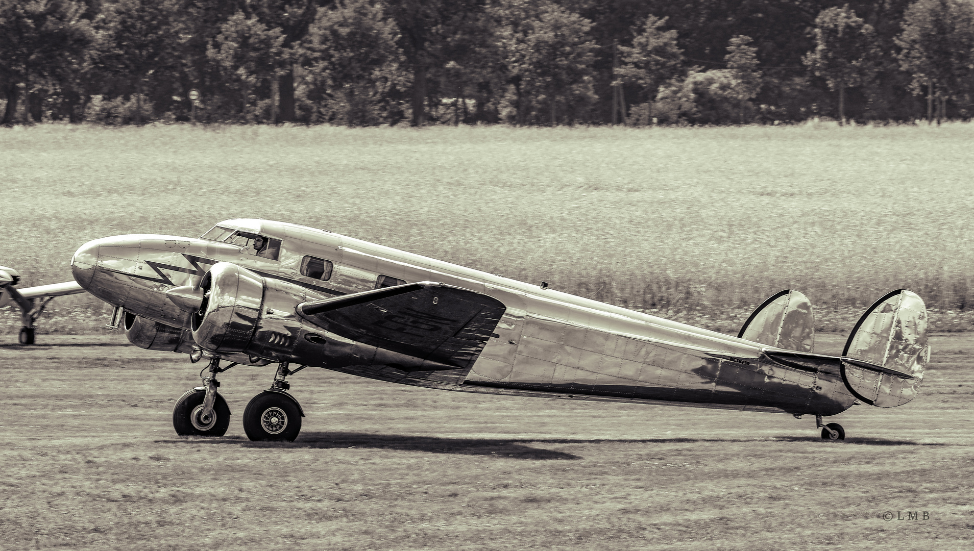 Electra at the Cornfield