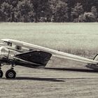 Electra at the Cornfield