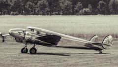 Electra at the Cornfield