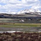 Electric Peak, Wyoming