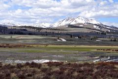 Electric Peak, Wyoming