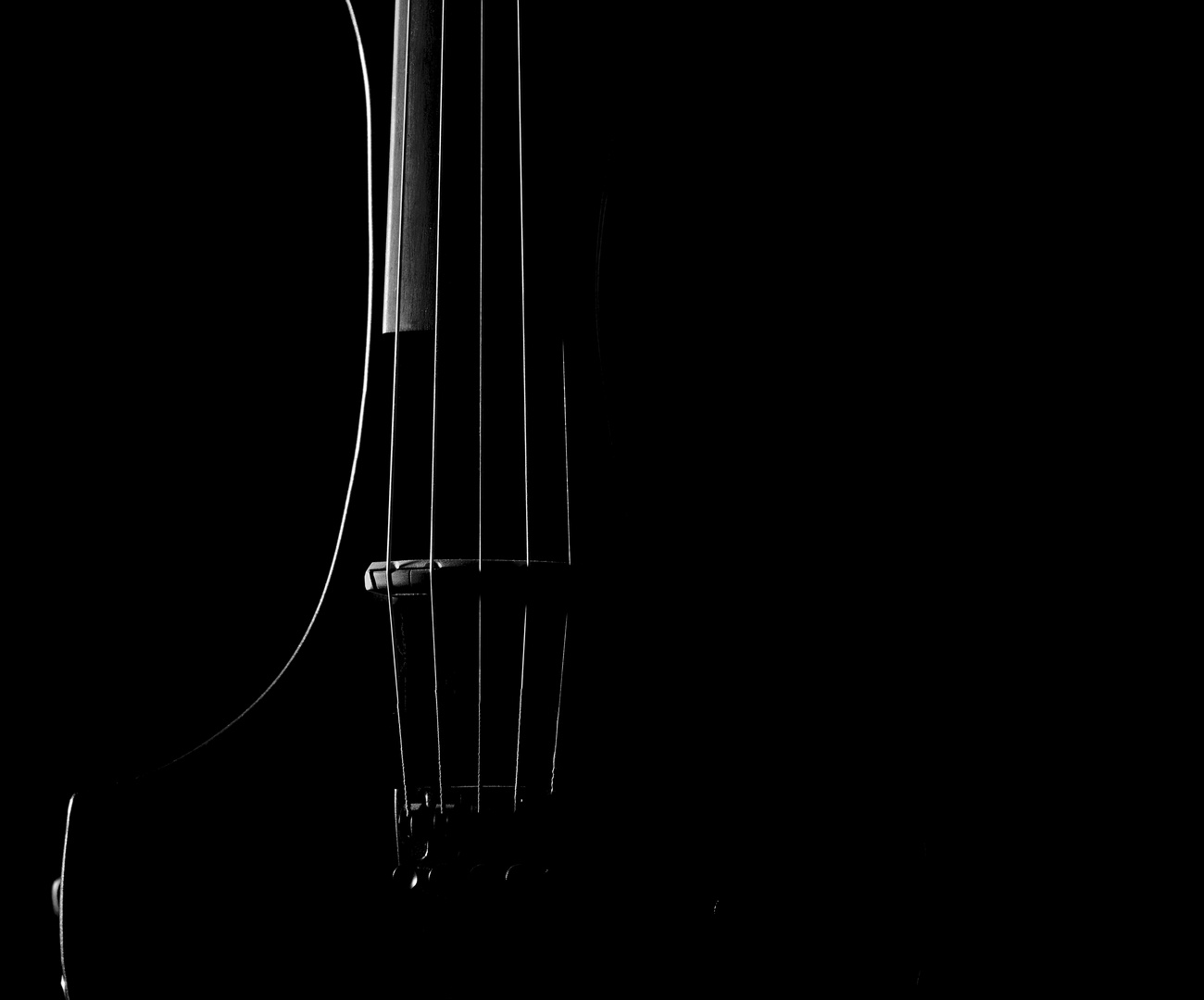 electric violin