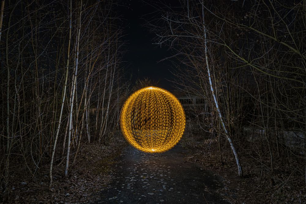 Electrical Movements in the Dark #294 - Golden Orb in the Forest