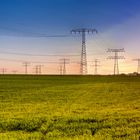 Electrical towers on the field