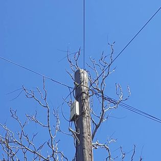 electricity pole touching tree in cyprus limassol
