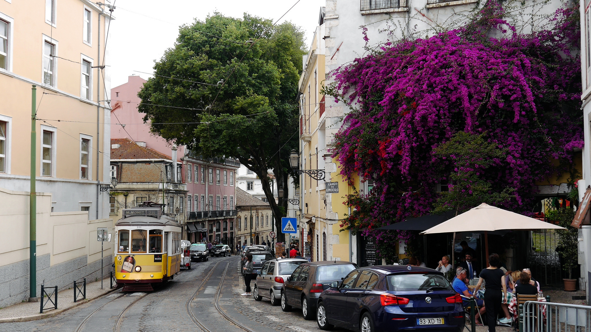 Eléctricos de Lisboa