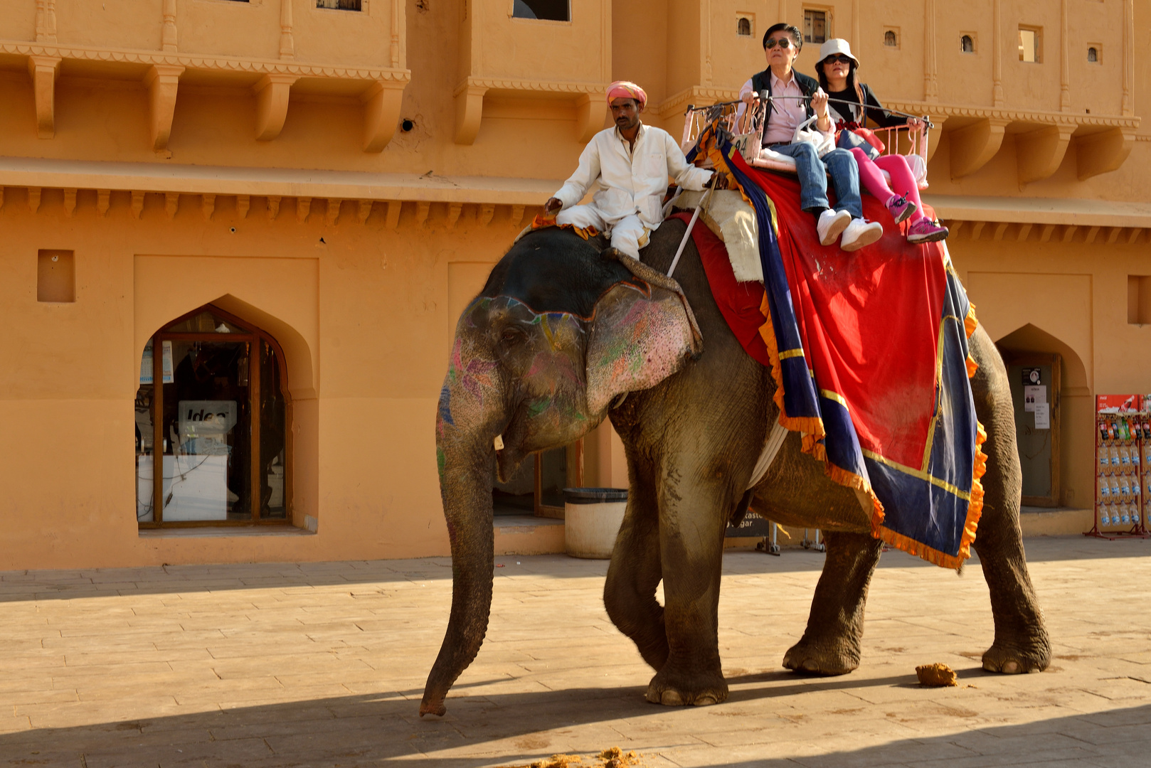 Elefant 1 im Fort Amber