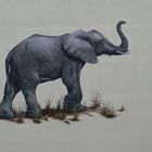 Elefant