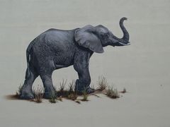 Elefant