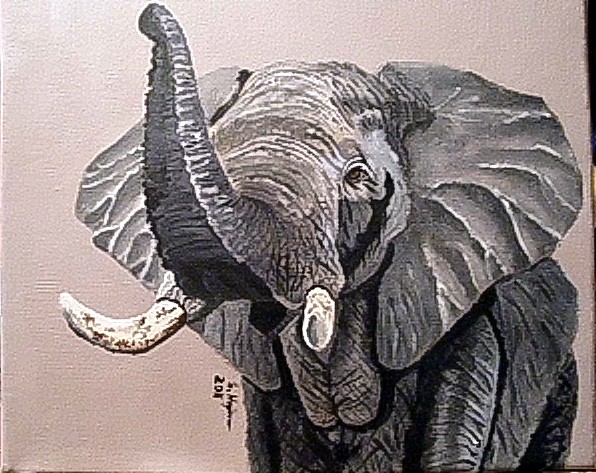 Elefant