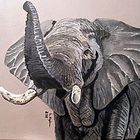 Elefant