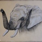 Elefant