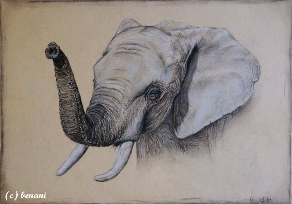 Elefant Foto Bild Kunstfotografie Kultur Gemalde Skulpturen Gemalde Und Zeichnungen Bilder Auf Fotocommunity