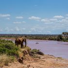 Elefant am Fluß