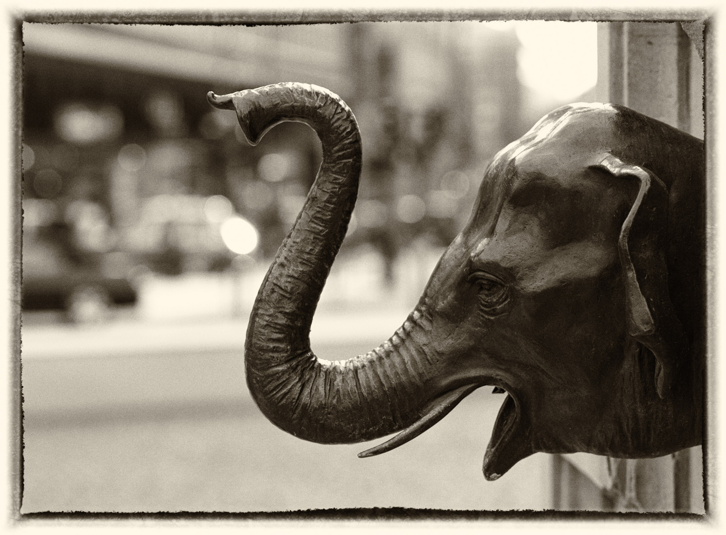 Elefant am Gotheplatz