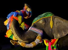 Elefant am King Mangrai Monument