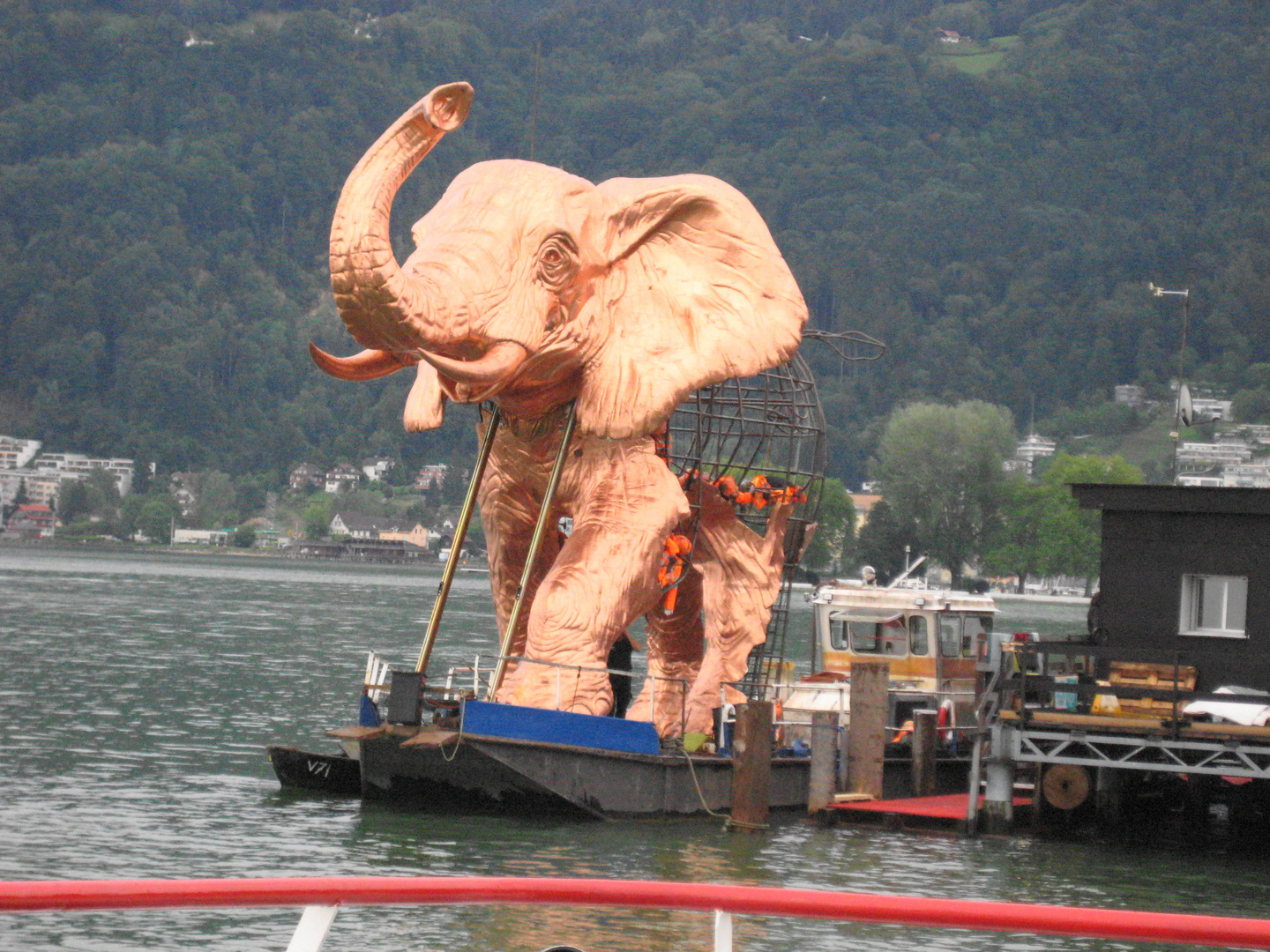 Elefant auf dem Bodensee