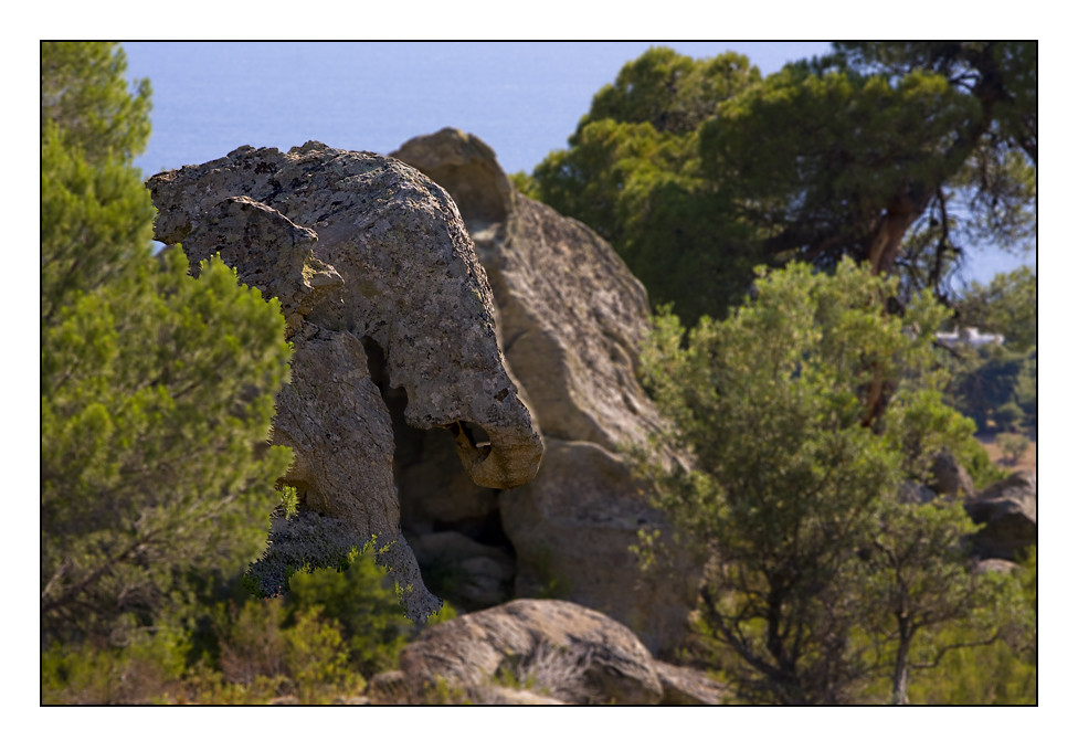 Elefant aus Stein...