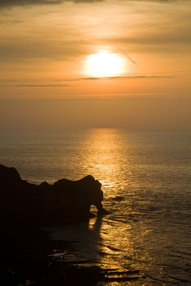 Elefant bei Sonnenuntergang