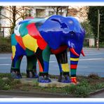 Elefant color