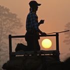 Elefant Driver im ersten Morgenlicht