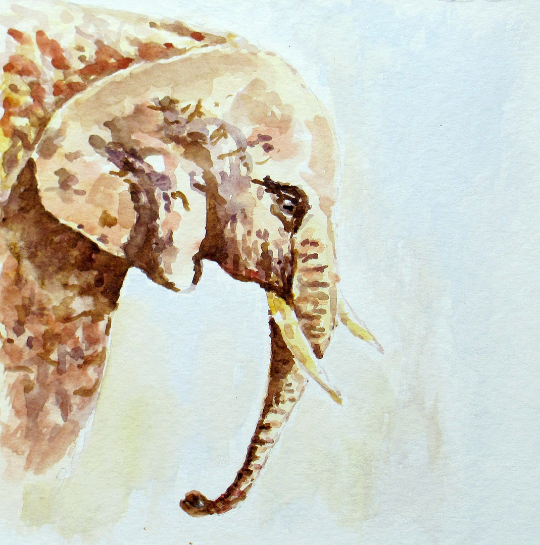 Elefant